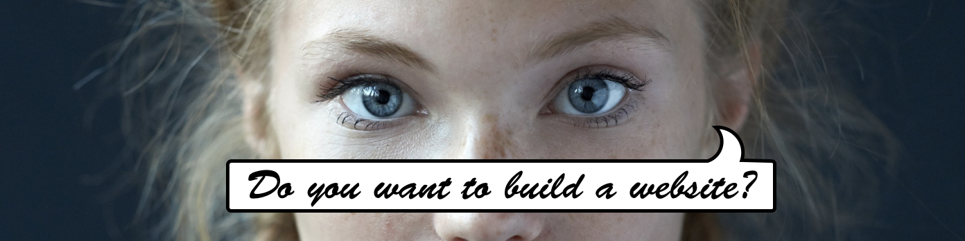 Do you want to build a website?
