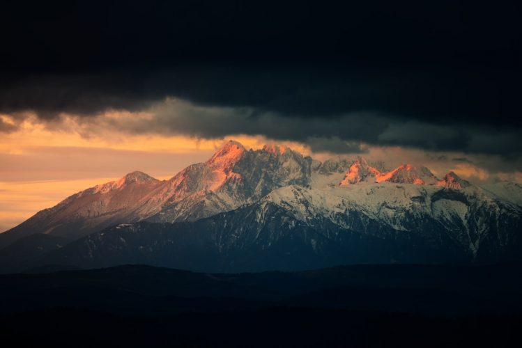 photo-1512668843144-3b8c0c81c233